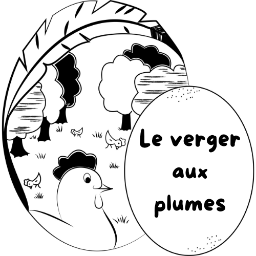 Accueil