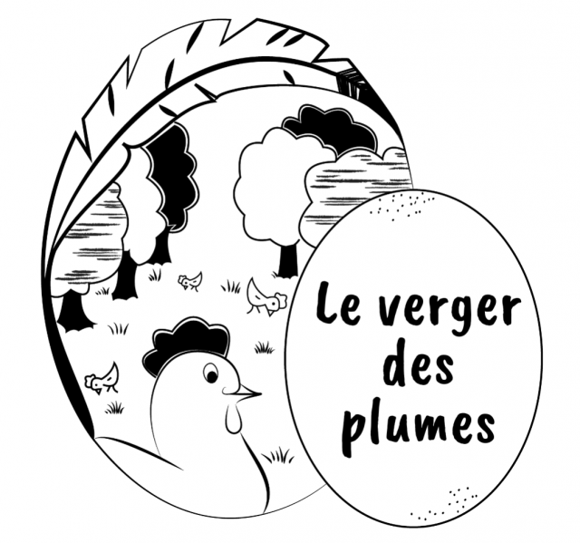 Accueil
